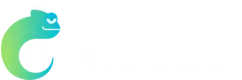Betzest Casino