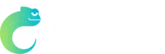 Betzest Casino