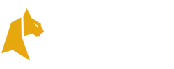 Felixspin
