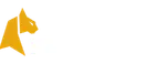 Felixspin