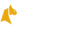 Felixspin