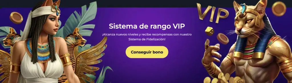 programa vip felixspin